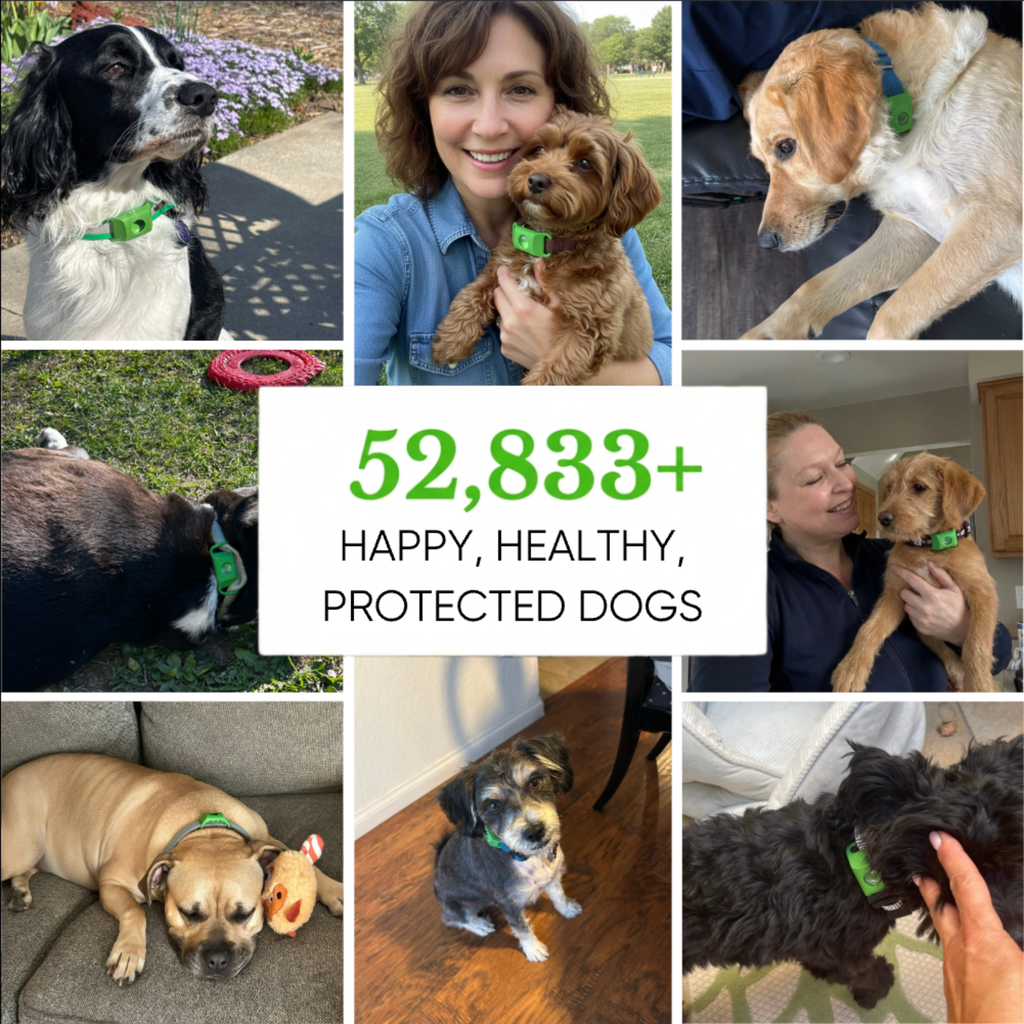 VeraLife Natural Flea & Tick Pendant