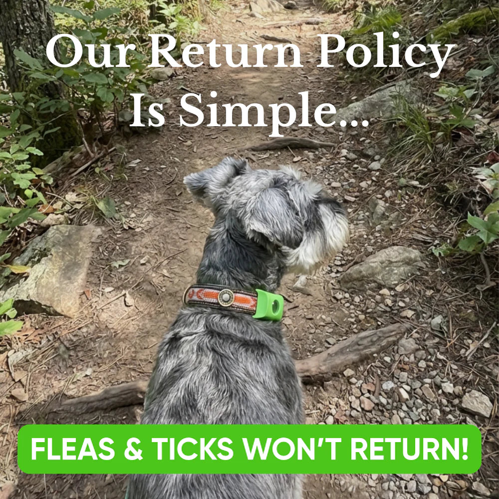 VeraLife Natural Flea & Tick Pendant